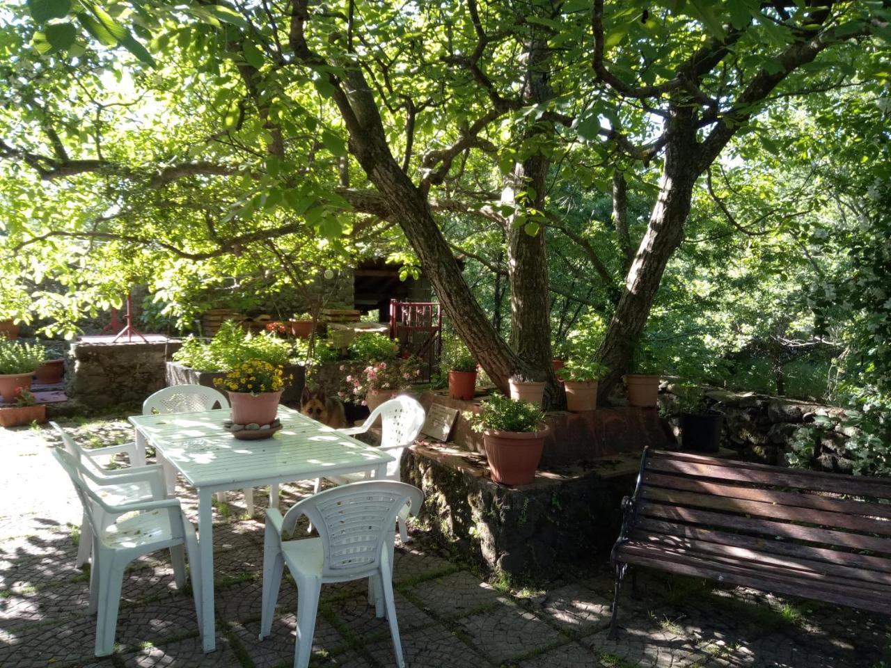 Vakantieboerderij Cirasellaetna SantʼAlfio