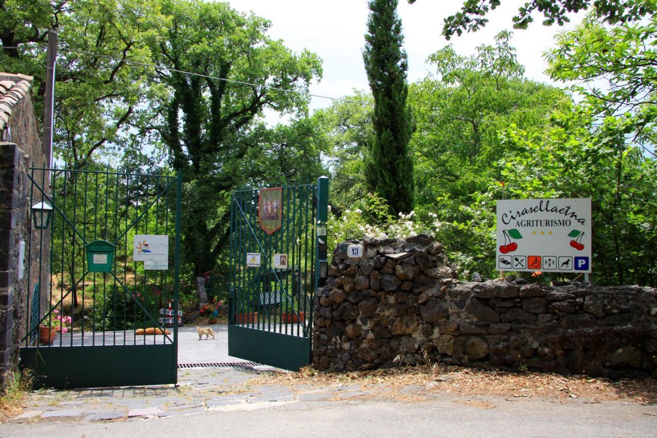 Vakantieboerderij Cirasellaetna *