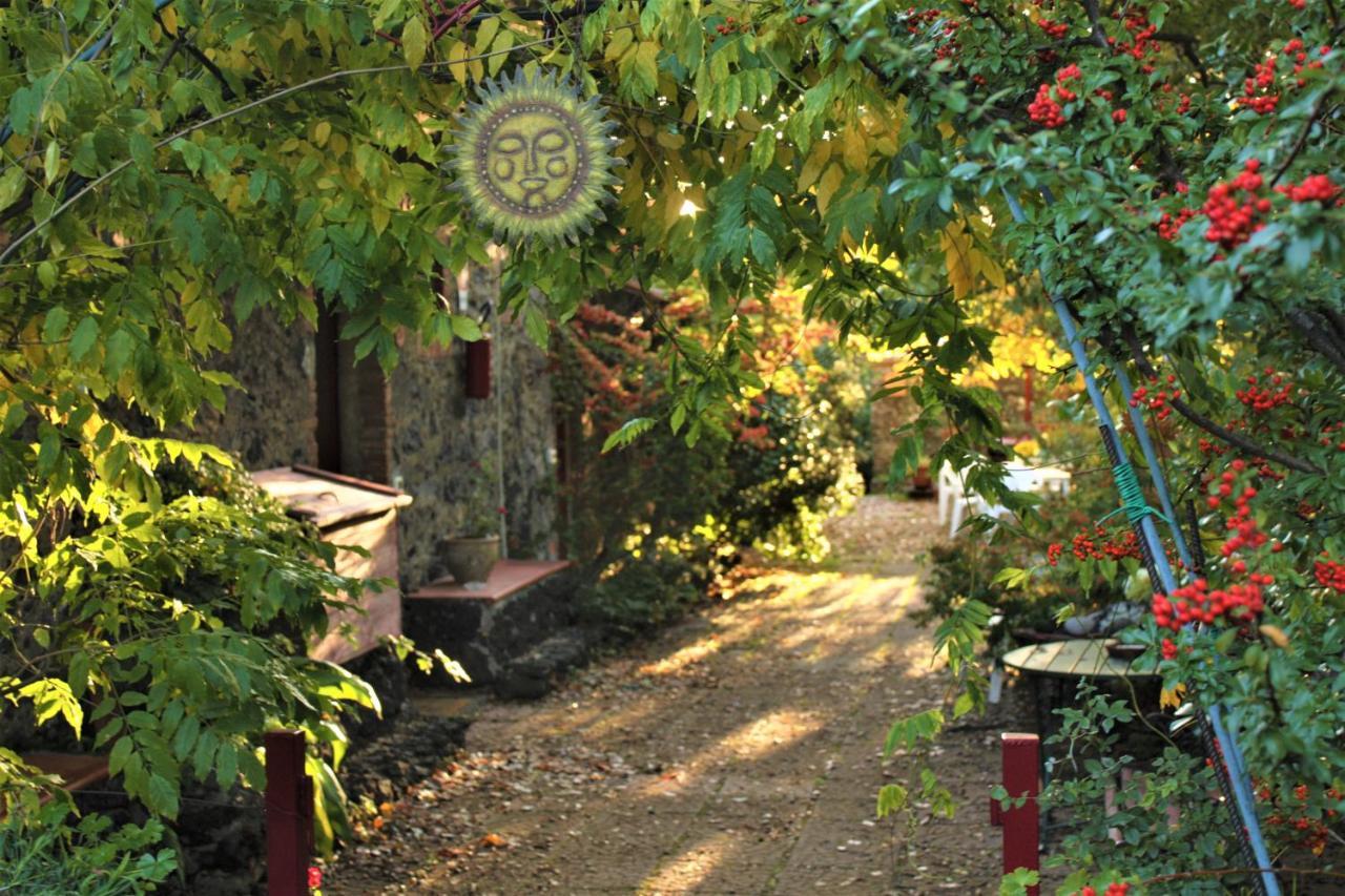 Vakantieboerderij Cirasellaetna