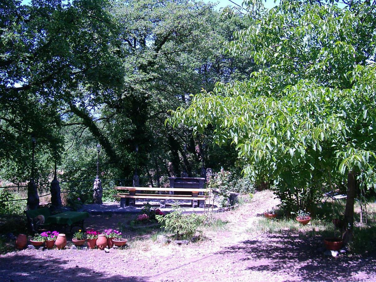 Vakantieboerderij Cirasellaetna
